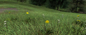 Grass rendering Grass rendering