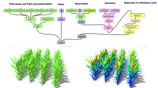 http://www-sop.inria.fr/virtualplants/Publications/2010/PBCM10/adel.png